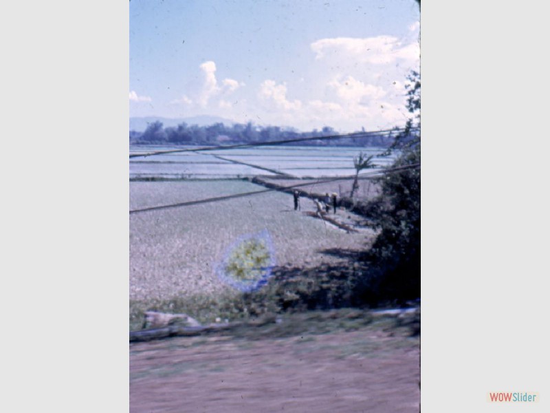 Beahm_071