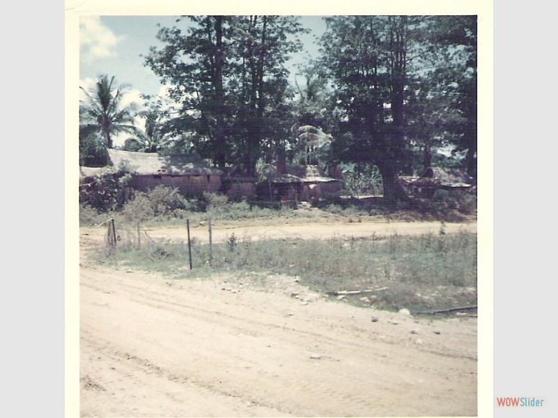 Picture 021