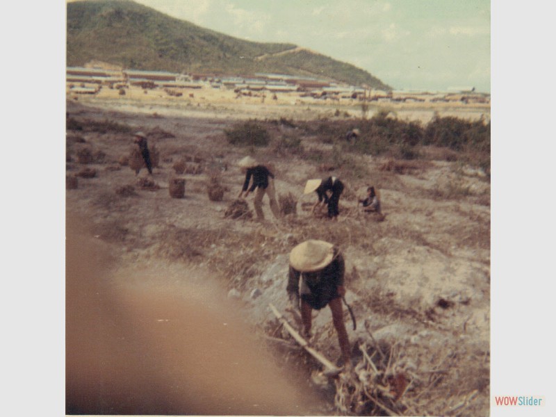 24. Working the fields